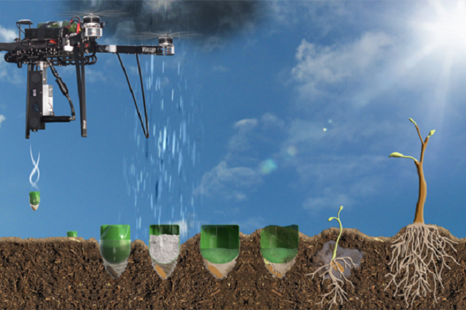 Kromě toho, že dron budoucí strom zprávně umístí, zvýší také šanci, že se v zemi uchytí.